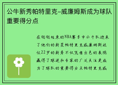公牛新秀帕特里克-威廉姆斯成为球队重要得分点